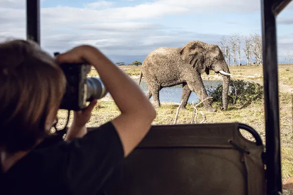 back view of a girl taking a photo of an elephant
