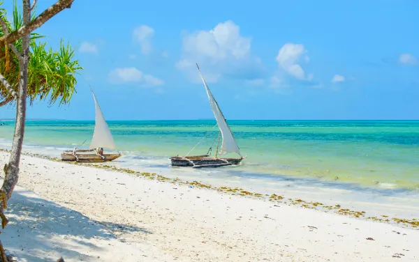 zanzibar beach landscape