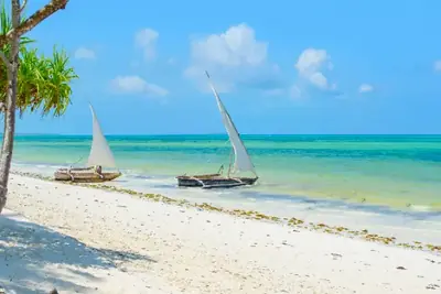 Zanzibar beach landscape