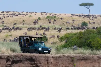 Safari vehicle in the Maasai Mara