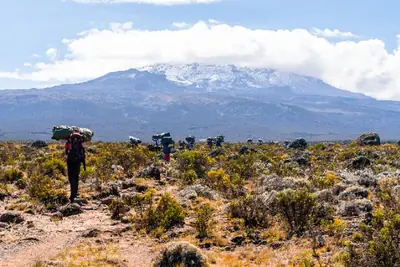 Hikers ascending Mount Kilimanjaro